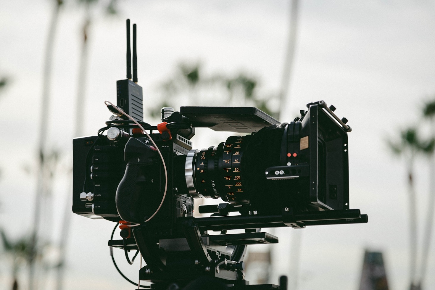 Behind the Vision of ReelOmni’s Film Campaign